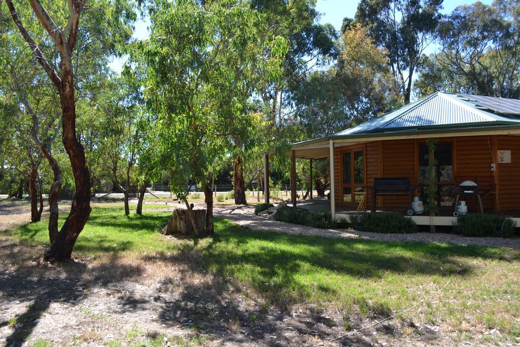 Bed and Breakfast Friends At Mclaren Vale Esterno foto